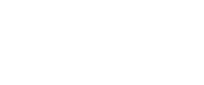Valerio Solutions | White Logo Valerio™
